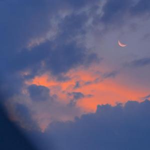 找老阿姨来泻火
