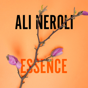 找老阿姨来泻火
