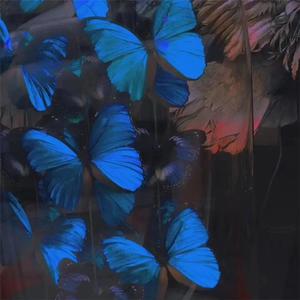 找老阿姨来泻火
