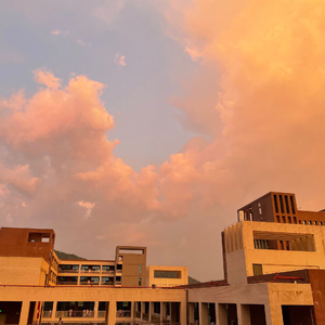 找老阿姨来泻火
